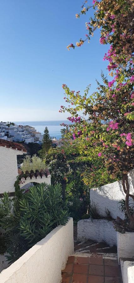 Apartmán Ap339 Alhama-La Oliva Nerja Exteriér fotografie